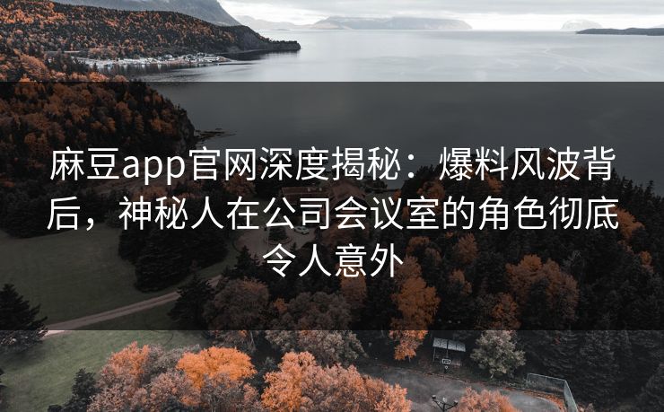麻豆app官网深度揭秘：爆料风波背后，神秘人在公司会议室的角色彻底令人意外