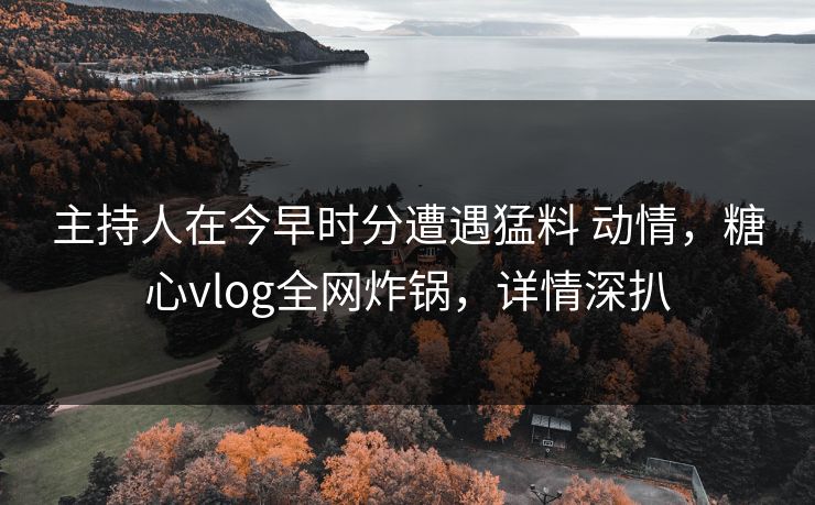 主持人在今早时分遭遇猛料 动情，糖心vlog全网炸锅，详情深扒
